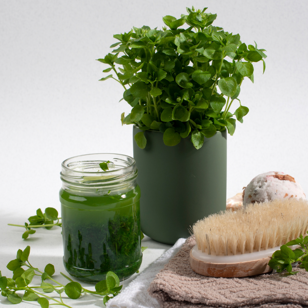 Spring Green Lymphatic Oil